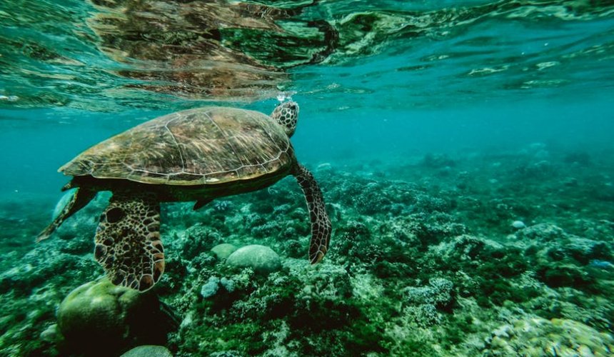 Official BHB presentation at Plastic Ocean Summit!